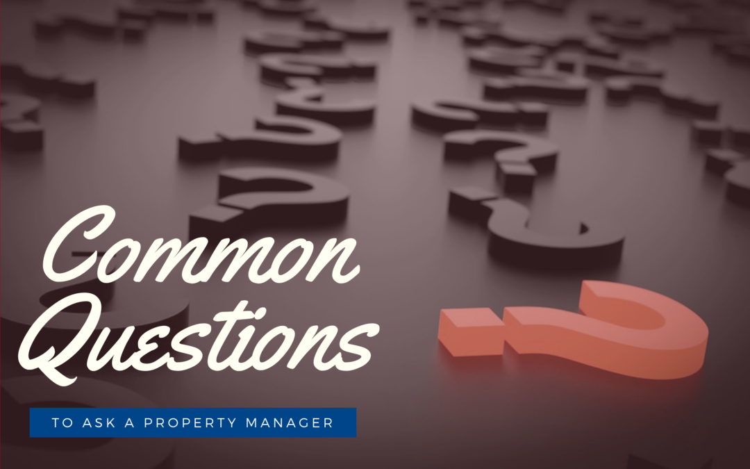 Common Questions You Should Ask Your Charlotte Property Management Company